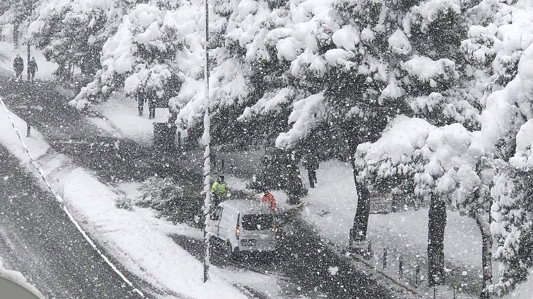 Περισσότερα από 20 δέντρα έχουν πέσει στον Δήμο Πεντέλης