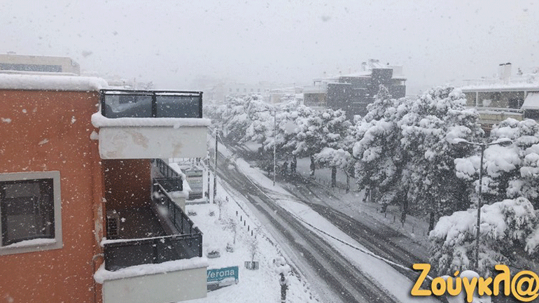 Έπεσε δέντρο στη λεωφόρο Πεντέλης στα Βριλήσσια