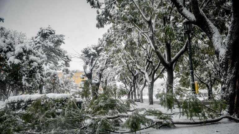 Διακοπή της κυκλοφορίας στη Β. Σοφίας λόγω πτώσης δέντρου