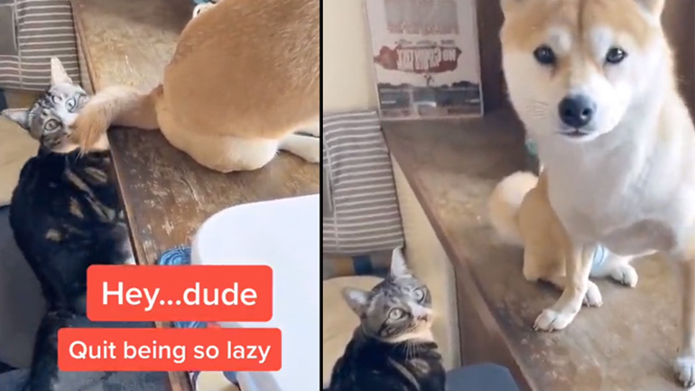 Ποιος από εσάς ήταν; Ποιος από εσάς ήταν;