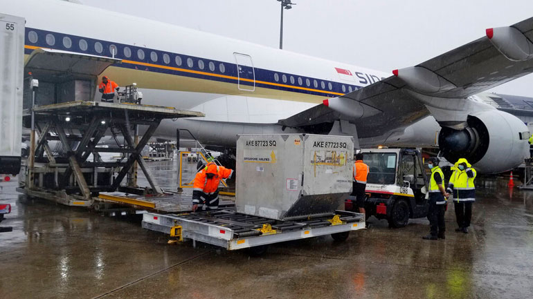 Νέα Ζηλανδία: Εντοπισμός μόλις δύο κρουσμάτων COVID-19