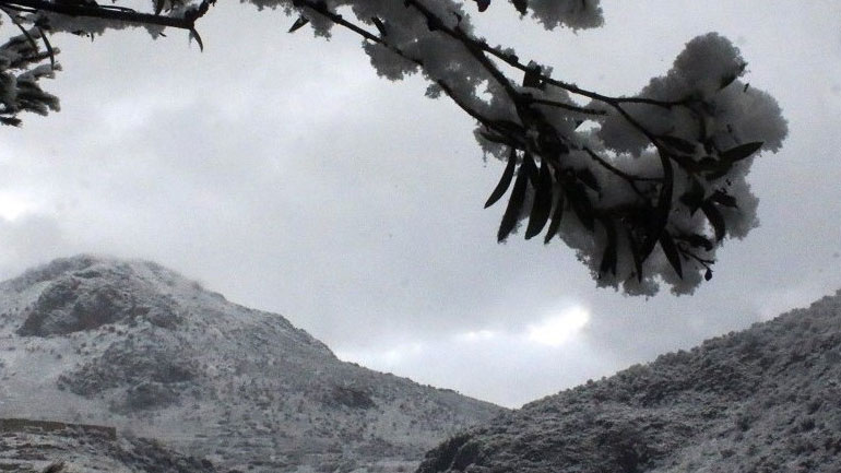 Σε κατάσταση έκτακτης ανάγκης η Σκιάθος