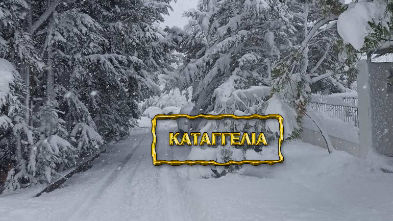 Καταγγελία: Αποκλεισμένοι οι κάτοικοι στο Κρυονέρι, χωρίς καμία μέριμνα από τους αρμόδιους