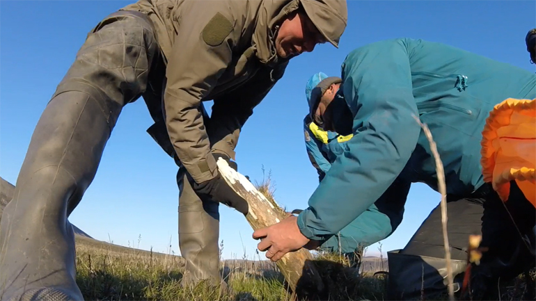 Το αρχαιότερο DNA στον κόσμο απομονώθηκε από απομεινάρια μαμούθ ηλικίας άνω του ενός εκατομμυρίου