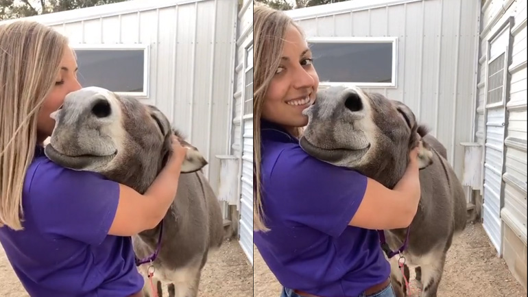 Γαϊδουράκι απολαμβάνει μια αγκαλιά