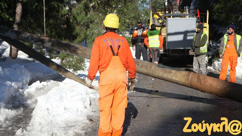 ΚΕΔΕ: Δεν έχουν οι δήμοι την ευθύνη για το κλάδεμα ή κόψιμο των δέντρων