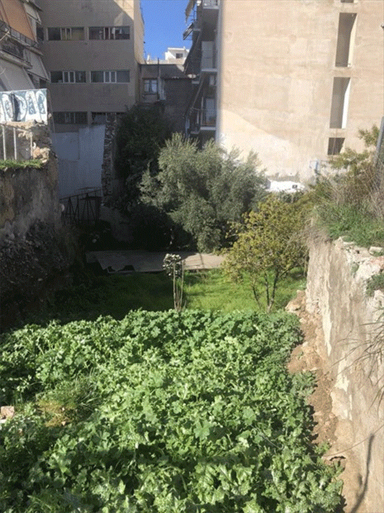 Ο χώρος γύρω από τη στεγασμένη ανασκαφή