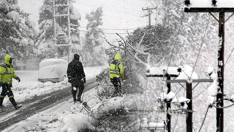 «Μήδεια»: Το μεγάλο βάρος του χιονιού διέλυσε τα δέντρα