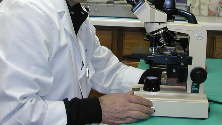 Τι είναι τα προσπερματικά υγρά;