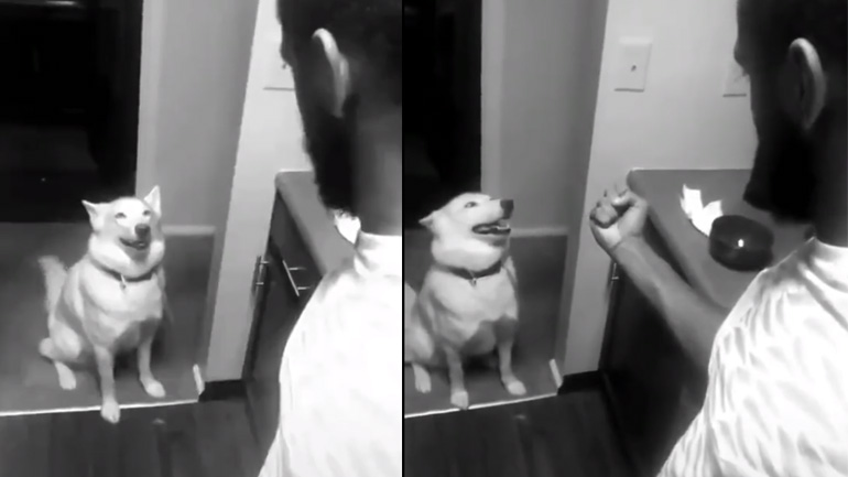 Πώς τόλμησες να μου μιλήσεις με αυτόν τον τόνο;