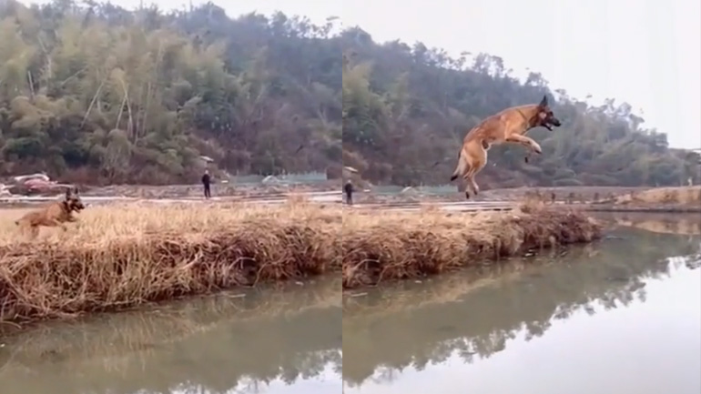 Μαλινουά εκτελεί μεγάλο άλμα σε ποταμό