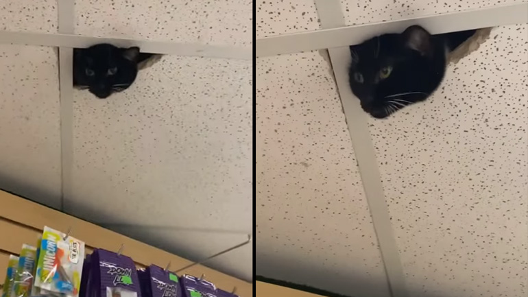 Νέα κάμερα παρακολούθησης σε κατάστημα