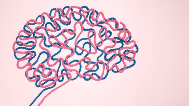 Πώς ο εγκέφαλος ανταποκρίνεται στην ομορφιά