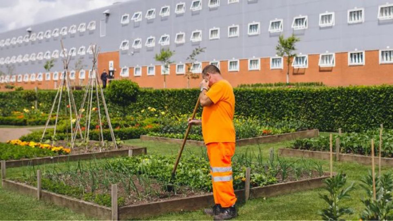 Όσα περισσότερα φυτά έχει μία φυλακή, τόσο χαμηλότερα είναι τα επίπεδα βίας