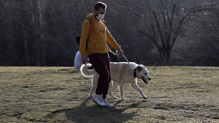 Αυστρία: «Ρεκόρ Κυριακής» με πάνω από 2.100 νέα κρούσματα το τελευταίο 24ωρο Αυστρία: «Ρεκόρ Κυριακής» με πάνω από 2.100 νέα κρούσματα το τελευταίο 24ωρο