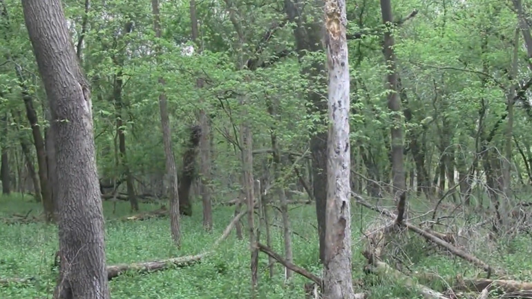 Ώρα να φεύγω…