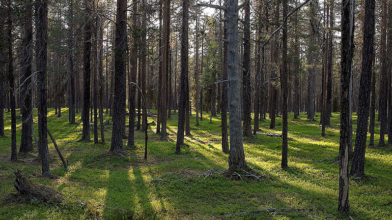 Περιβαλλοντικές οργανώσεις ζητούν απόσυρση διάταξης στο νομοσχέδιο για τις δημόσιες συμβάσεις Περιβαλλοντικές οργανώσεις ζητούν απόσυρση διάταξης στο νομοσχέδιο για τις δημόσιες συμβάσεις