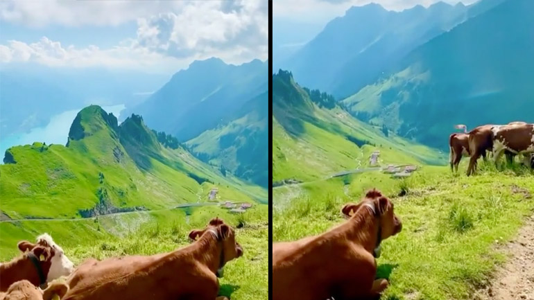 Η ομορφιά της φύσης