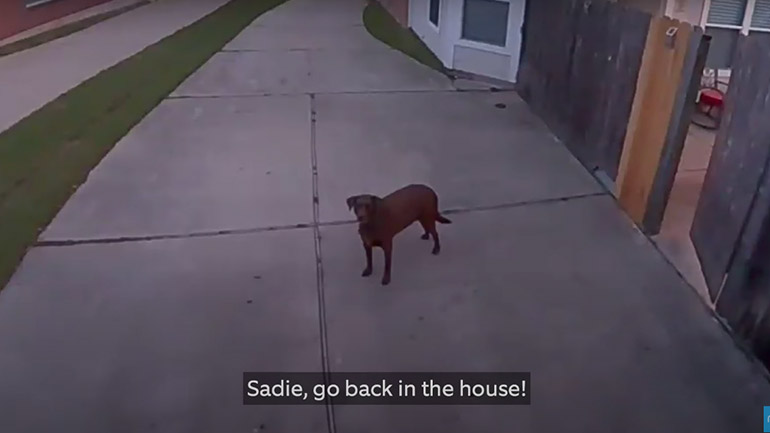 Άνδρας διατάζει τη σκυλίτσα του να επιστρέψει στο σπίτι από την κάμερα ασφαλείας