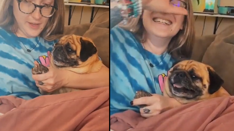 Το δράμα! Το δράμα!