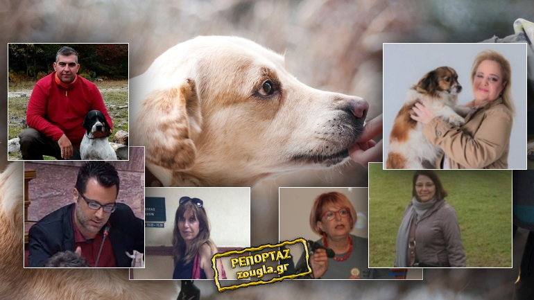 “Πόλεμος” για τη στείρωση των κατοικιδίων