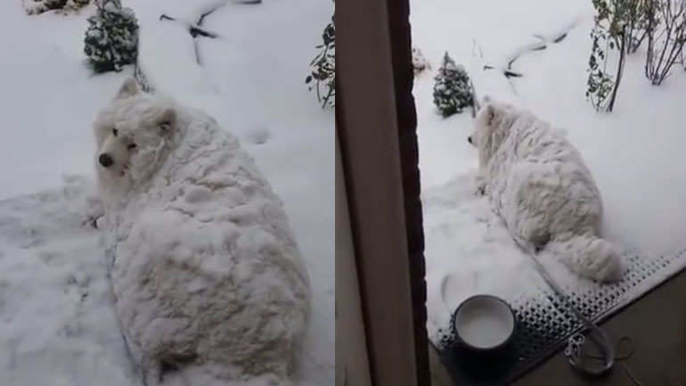 Δεν θα μπω μέσα, είμαι καλά εδώ!