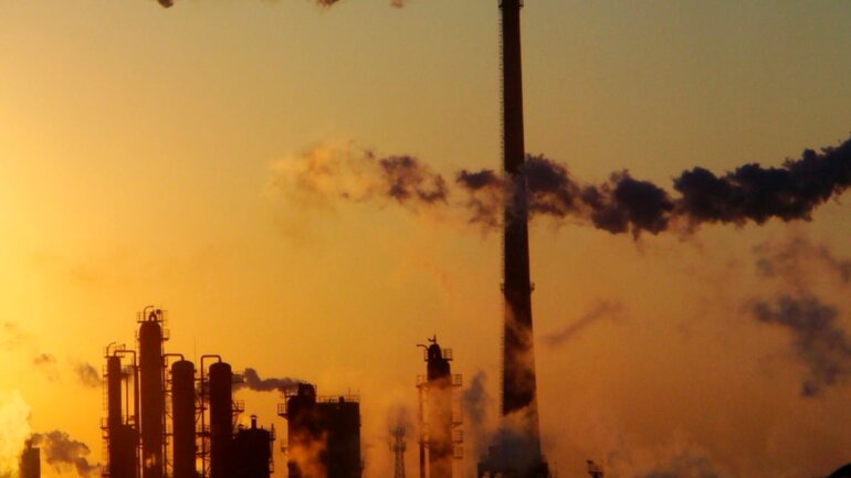 Πώς οι ρύποι του περιβάλλοντος βλάπτουν τον οργανισμό μας