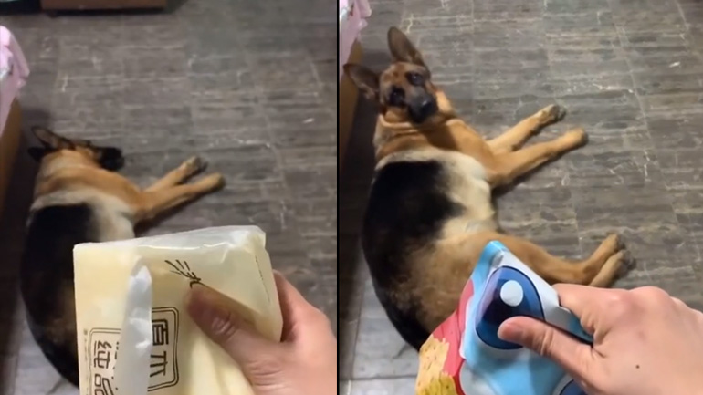 Ο μαγικός ήχος