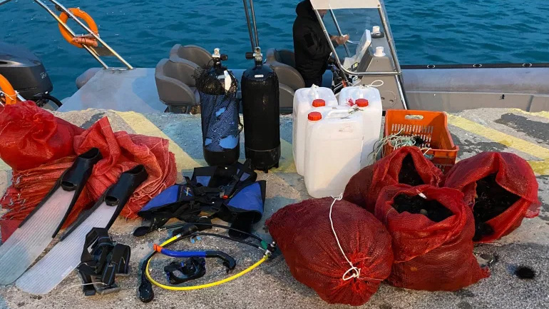 Βόλος: Ψάρεψε παράνομα 925 αχινούς στον Άγιο Στέφανο Βόλος: Ψάρεψε παράνομα 925 αχινούς στον Άγιο Στέφανο