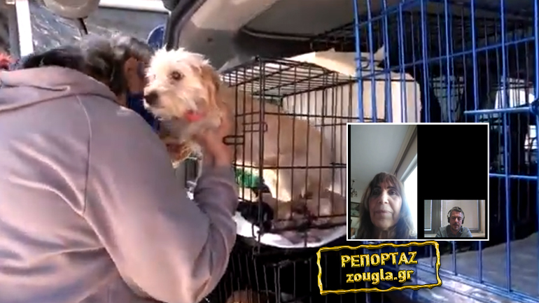 «Συλλέκτρια» είχε μετατρέψει εξοχικό σε κολαστήριο ζώων – Επέμβαση της Εισαγγελίας του Αρείου Πάγου