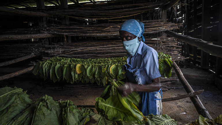 Κορωνοϊός: Περισσότερα από 1.000 τα νέα κρούσματα στην Κούβα