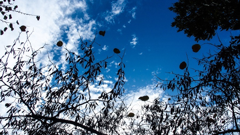 Ο καιρός σήμερα Ο καιρός σήμερα