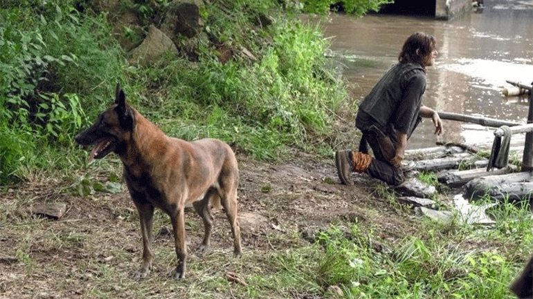 The Walking Dead: Αποκαλύφθηκε η ιστορία του σκύλου του Ντάριλ Ντίξον