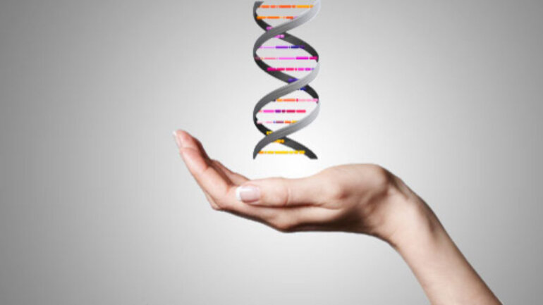 Κατανοώντας καλύτερα την κληρονομικότητα μέσω της επιγενετικής