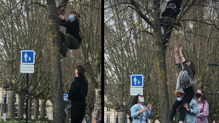 Ομαδική δουλειά για τη διάσωση μιας γάτας από ένα δέντρο