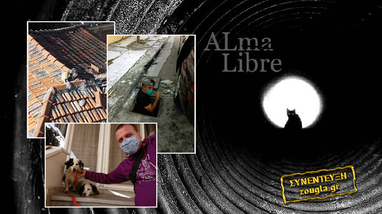 Alma Libre: Γνωρίστε τη νέα ομάδα διάσωσης των αδέσποτων ζώων της Αθήνας!