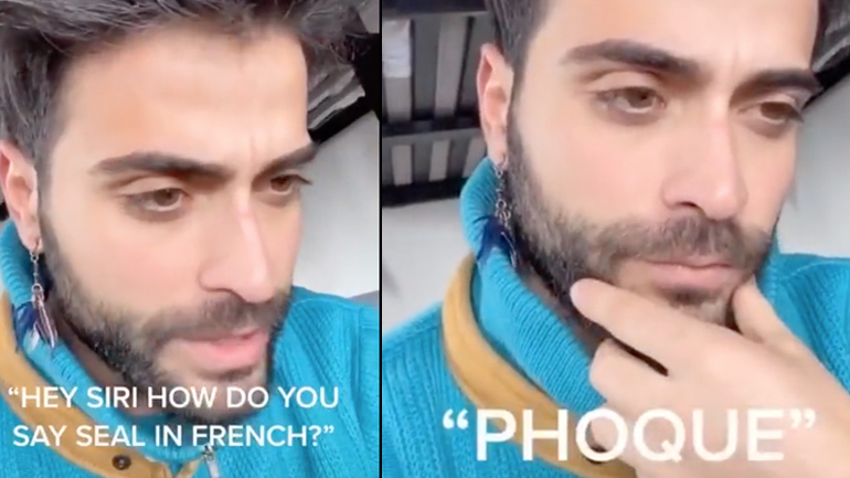 Siri, πώς λέγεται η φώκια στα γαλλικά;