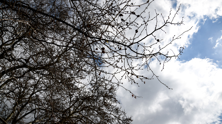 Ο καιρός σήμερα