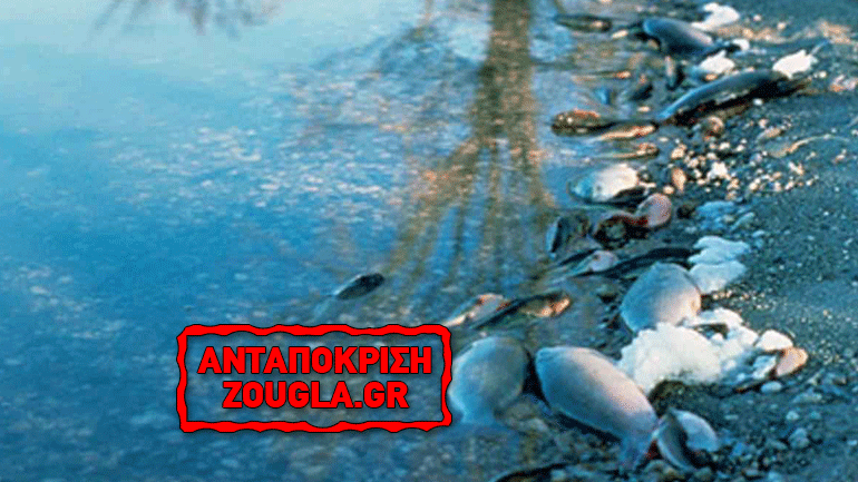 Μολύνσεις στο νερό από μικρορύπους παραδέχεται η Κομισιόν!