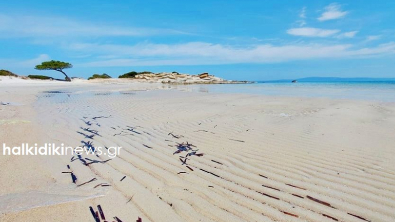 Χαλκιδική: Εντυπωσιακές εικόνες από την άμπωτη στο Καρύδι