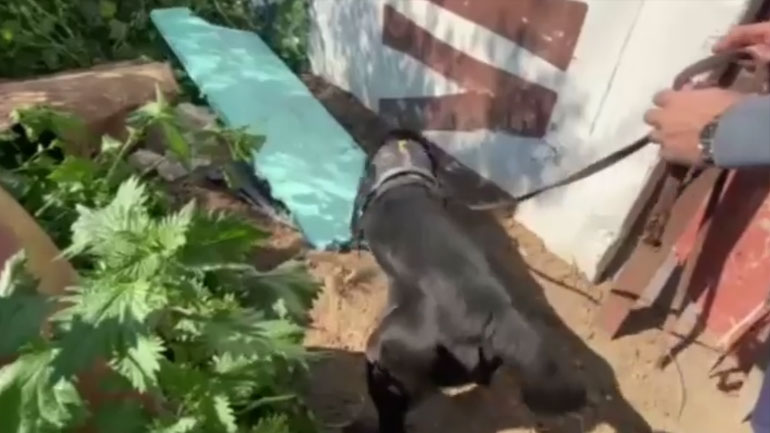 Θεσσαλονίκη: Ο «Άτλας» ξετρύπωσε κάνναβη σε θαμμένο βαρέλι