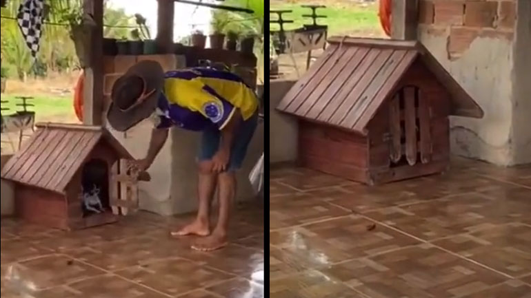 Μικρό αλλά πολύ άγριο σκυλί!