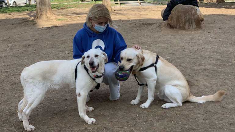 Αποστρατεύθηκε η Χιονονιφάδα έπειτα από 12 χρόνια μάχιμης υπηρεσίας στα εκρηκτικά Αποστρατεύθηκε η Χιονονιφάδα έπειτα από 12 χρόνια μάχιμης υπηρεσίας στα εκρηκτικά