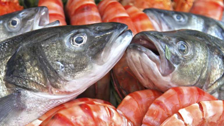 Νέα έρευνα: Η ψαρομεσογειακή διατροφή και η νηστεία προστατεύουν τον οργανισμό