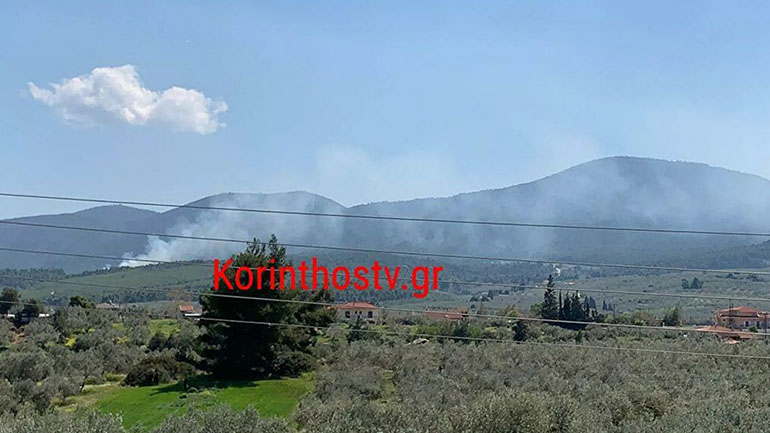 Φωτιά καίει δασική έκταση στο Χιλιομόδι Κορινθίας Φωτιά καίει δασική έκταση στο Χιλιομόδι Κορινθίας