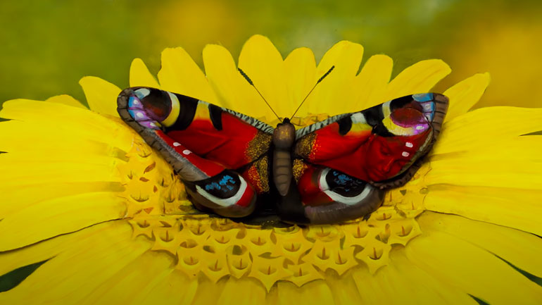 Φωτογραφία ή bodypainting;