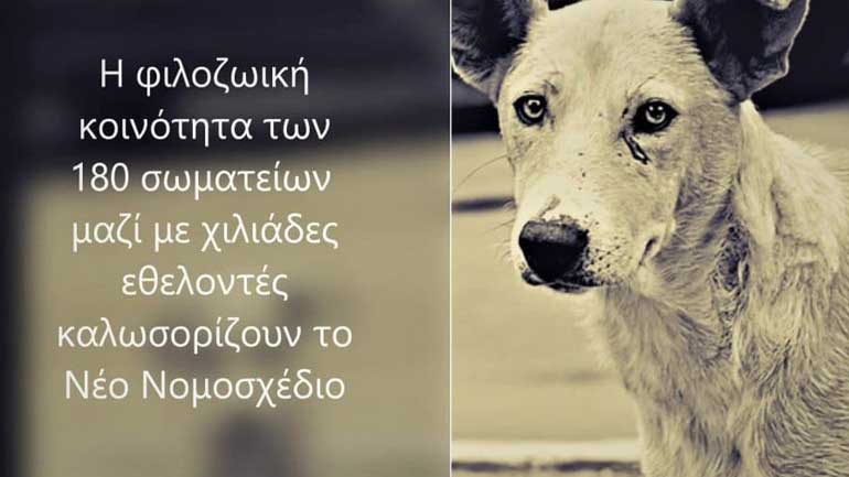 Συνέντευξη τύπου φιλοζωικών φορέων σχετικά με το σχέδιο νόμου για τα αδέσποτα