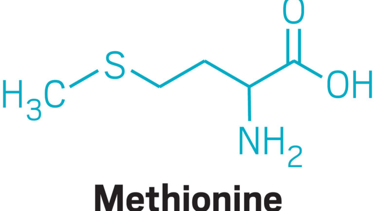 Ποια είναι η συνιστώμενη δοσολογία για το αμινοξύ μεθειονίνη