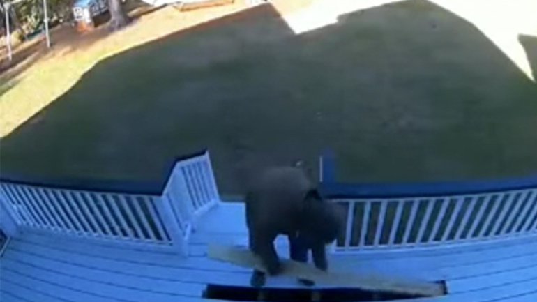 Αντικατάσταση δαπέδου (fail)