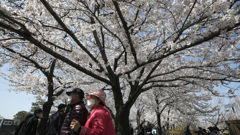 Covid-19: Αναμένονται νέα περιοριστικά μέτρα στη Νότια Κορέα